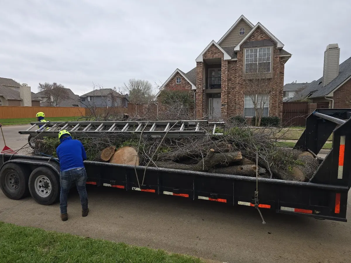 Expert Lot Clearing with proper safety equipment in Bryan